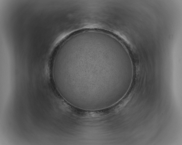 X0000111421311200907201040