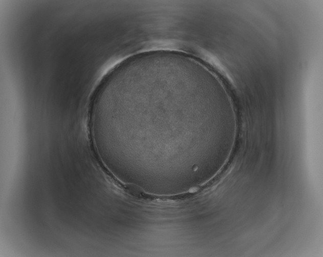 X0000111421312200907201040