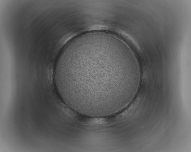 X0000111421313200907201040