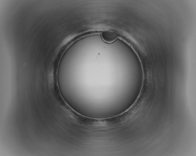 X0000111421315200907201040