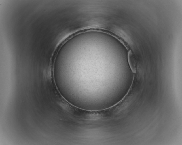 X0000111421316200907201040