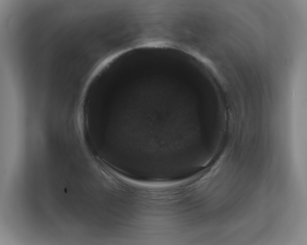 X0000111421319200907201040