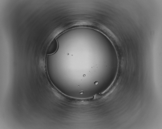 X0000111421321200907201040