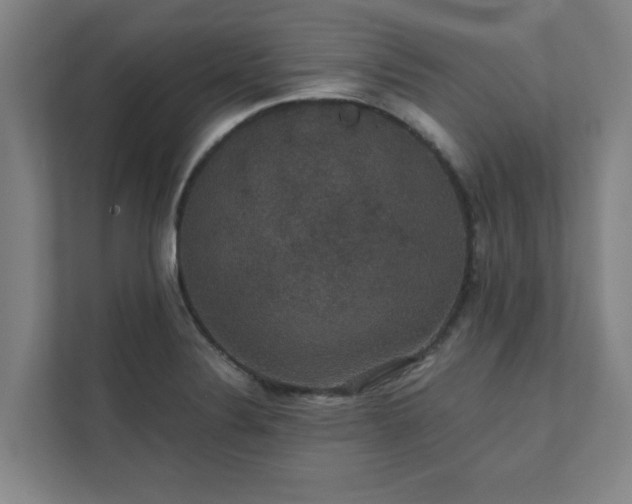 X0000111421324200907201040