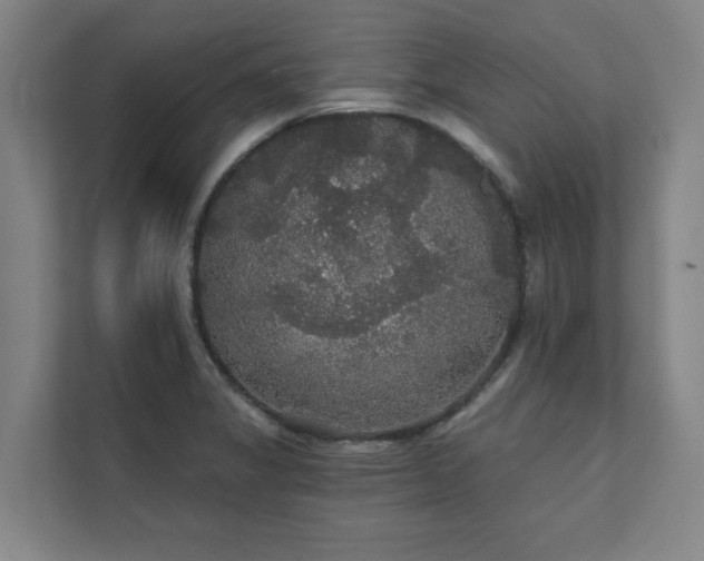 X0000111421325200907201040