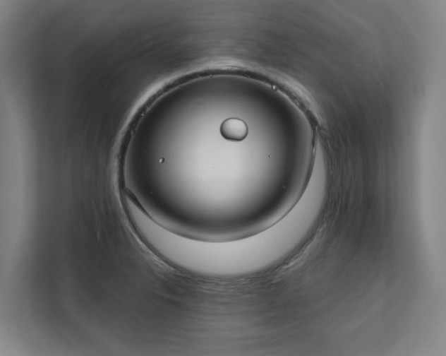 X0000111421326200907201040