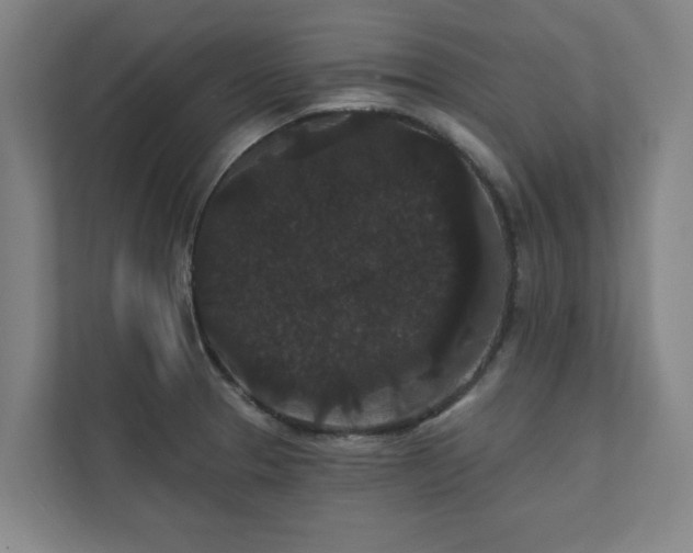 X0000111421329200907201040