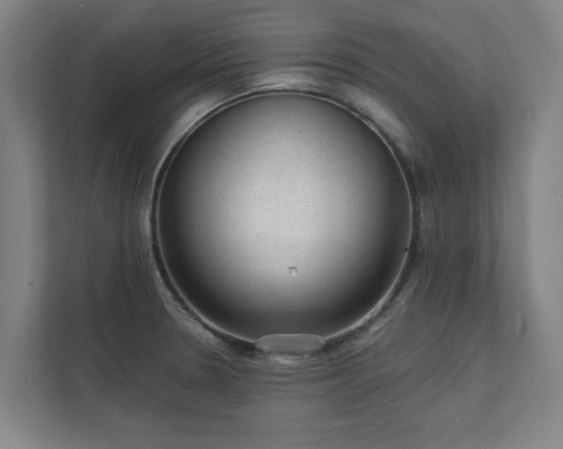 X0000111421330200907201040