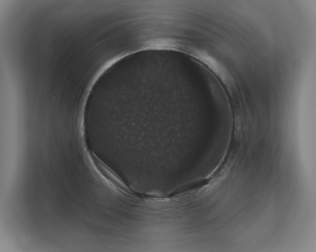 X0000111421331200907201040