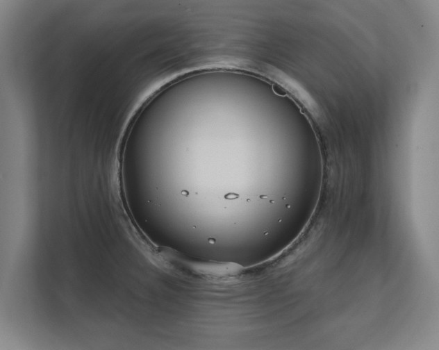 X0000111421332200907201040