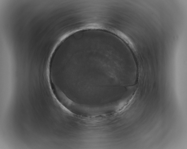 X0000111421334200907201040