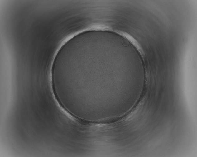 X0000111421335200907201040