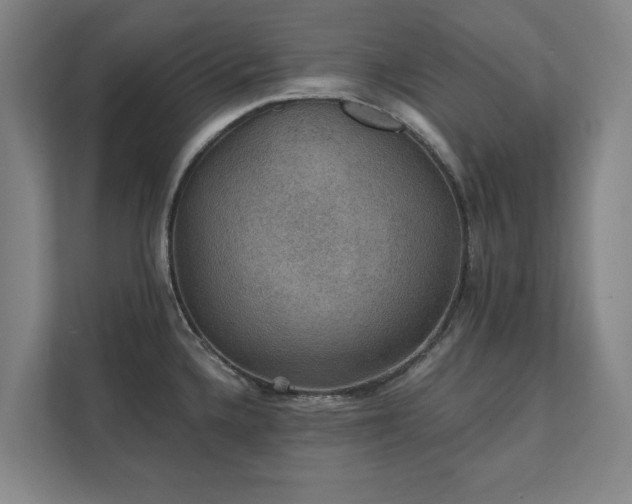 X0000111421336200907201040