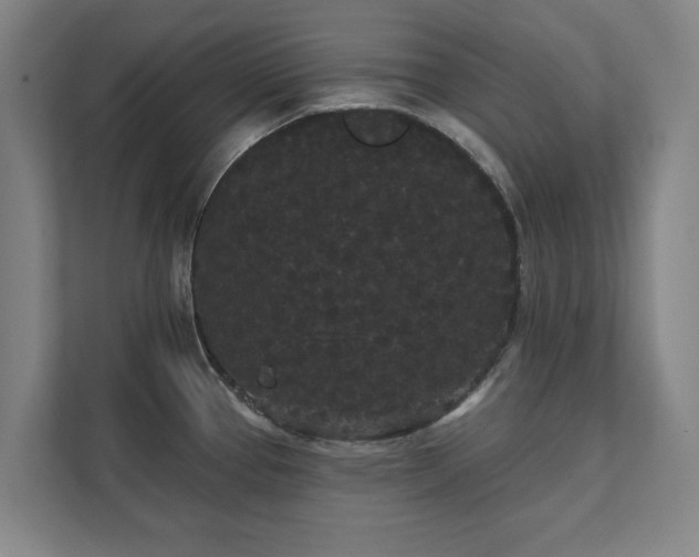 X0000111421337200907201040