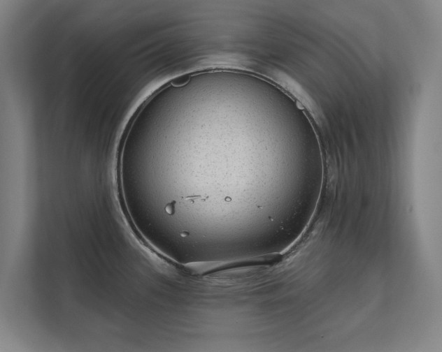 X0000111421339200907201040