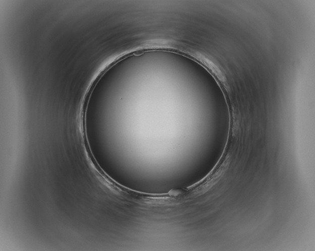 X0000111421342200907201040