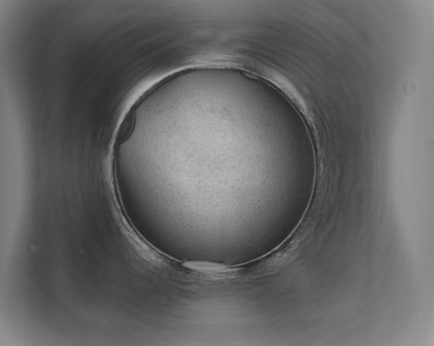 X0000111421344200907201040