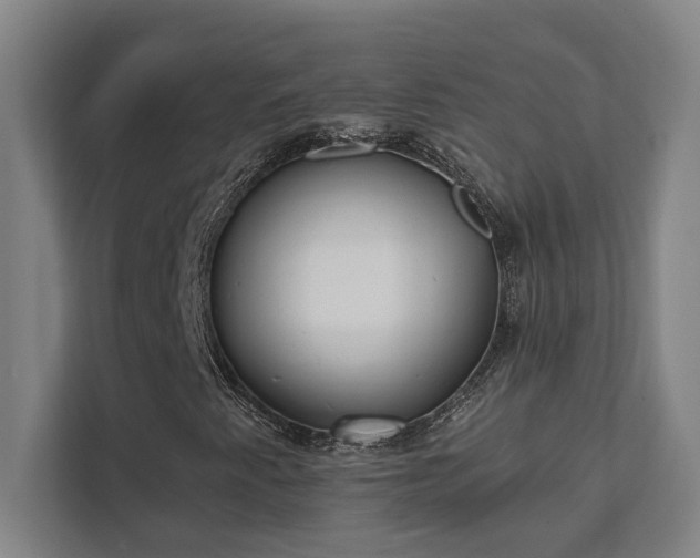 X0000111421345200907201039