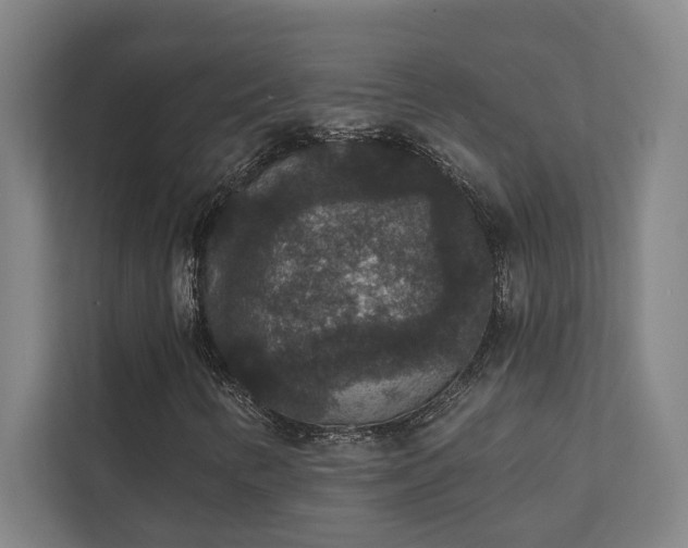 X0000111421346200907201039