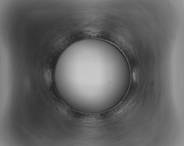 X0000111421347200907201039