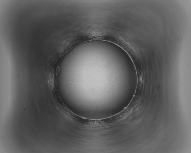 X0000111421348200907201039