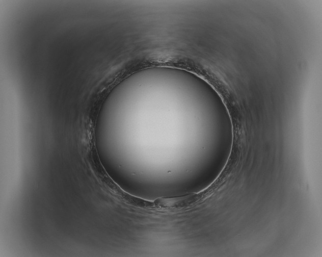 X0000111421349200907201039