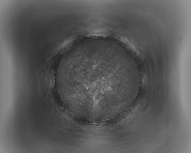 X0000111421350200907201039