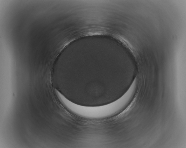 X0000111421353200907201039