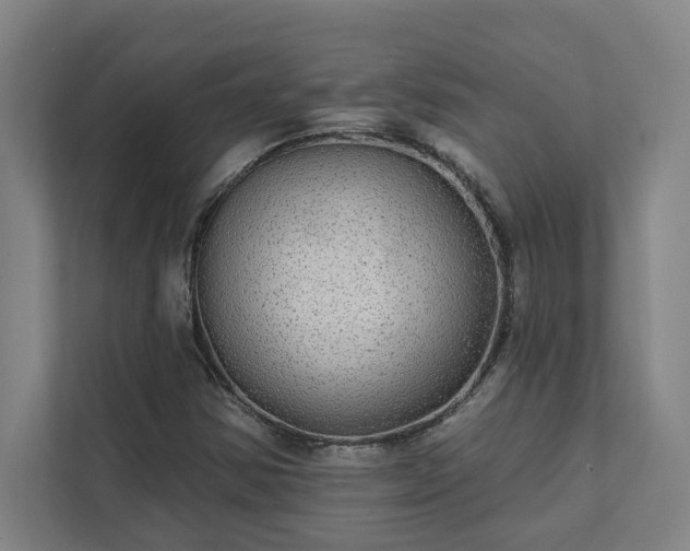 X0000111421354200907201039