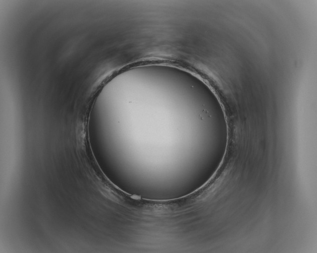 X0000111421355200907201039