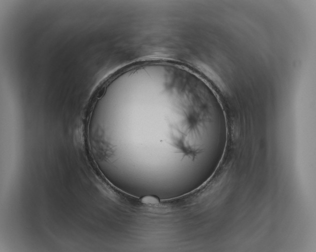 X0000111421356200907201039