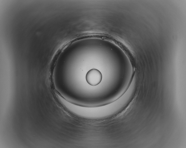 X0000111421357200907201039