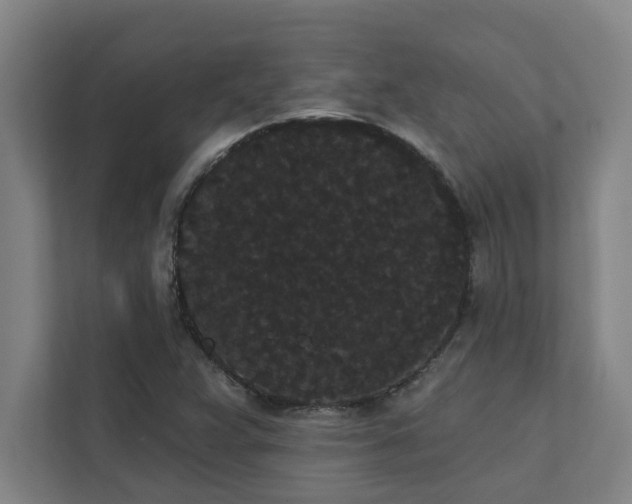 X0000111421359200907201039