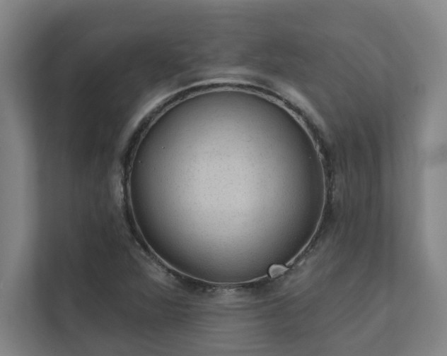 X0000111421360200907201039