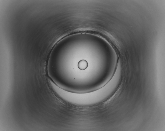 X0000111421361200907201039