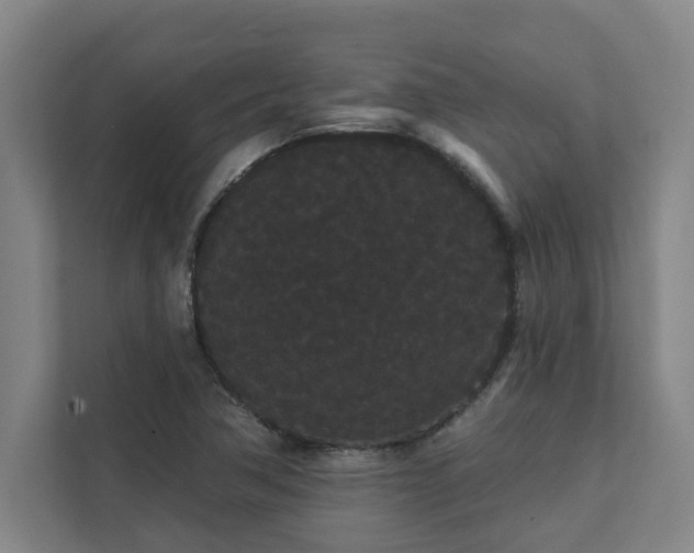 X0000111421362200907201039