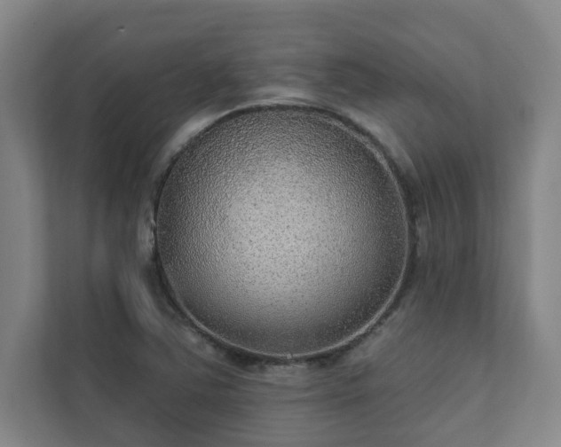 X0000111421363200907201039