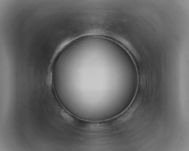 X0000111421366200907201039