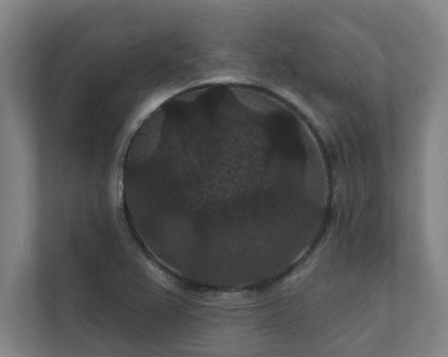 X0000111421367200907201039