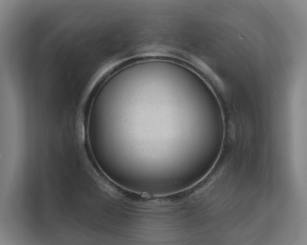 X0000111421368200907201039