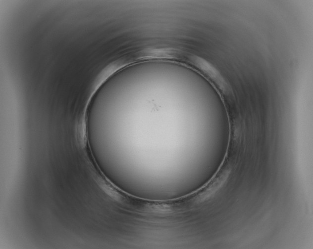 X0000111421370200907201039