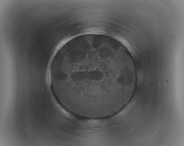 X0000111421371200907201039