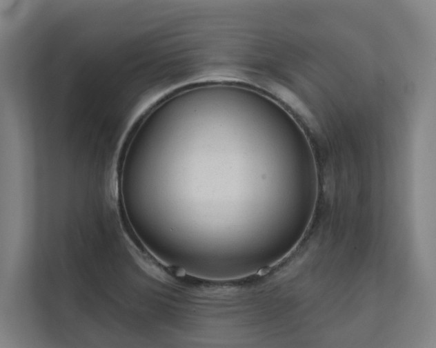 X0000111421372200907201039