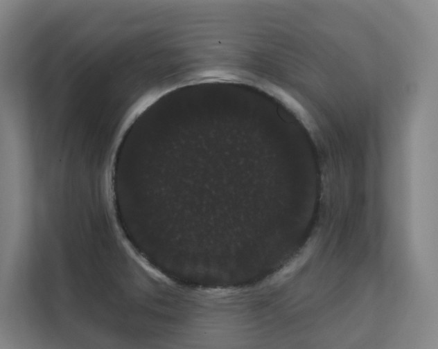 X0000111421373200907201039