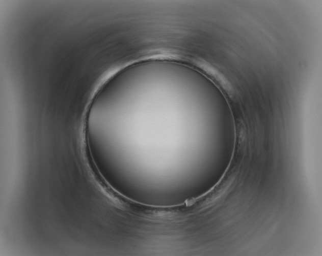 X0000111421375200907201039