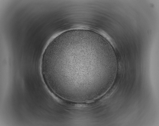 X0000111421379200907201039