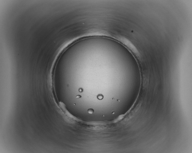 X0000111421380200907201039