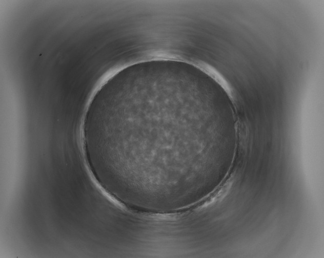 X0000111421381200907201039