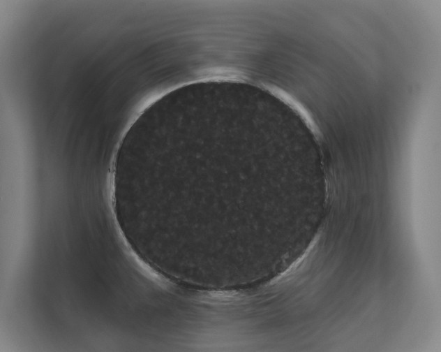 X0000111421383200907201039