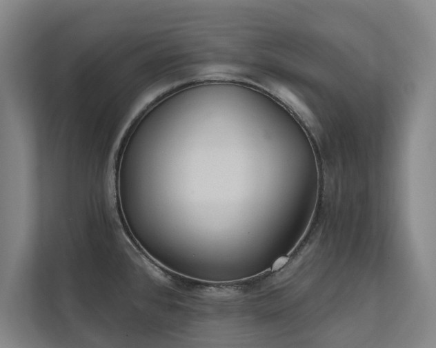 X0000111421384200907201039